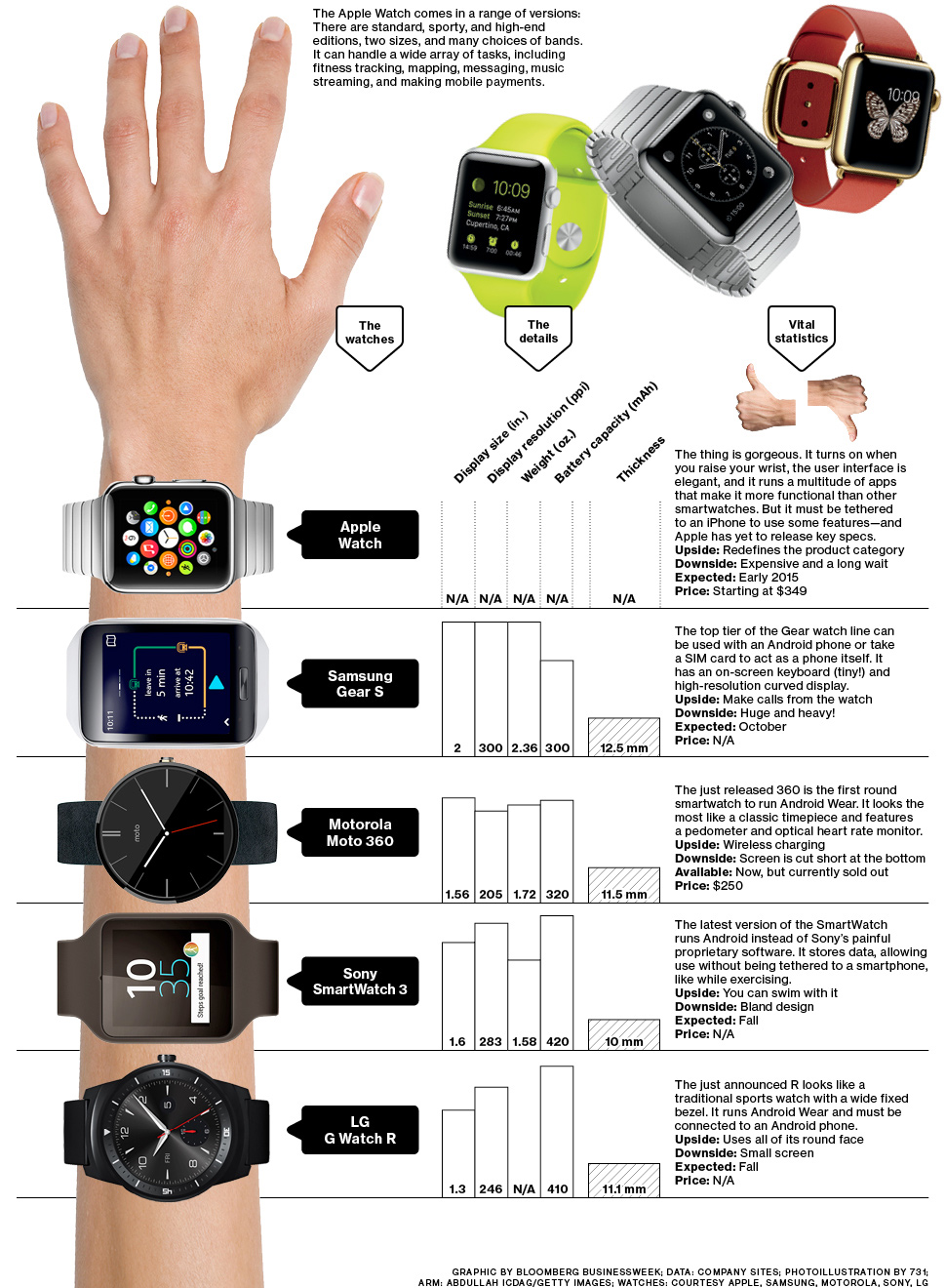 Watch Dimensions Chart