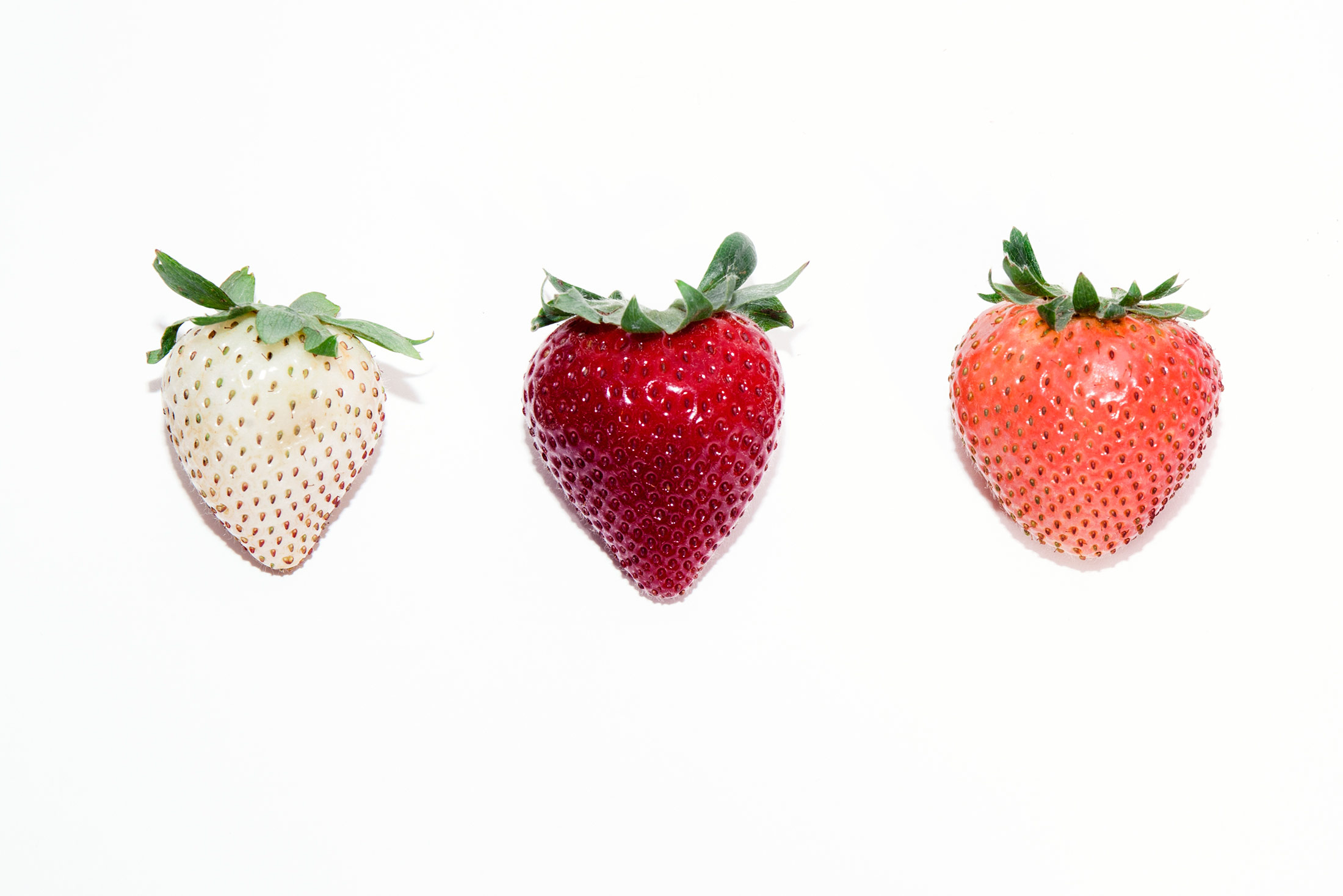 How Driscoll’s Is Hacking the Strawberry of the Future. 