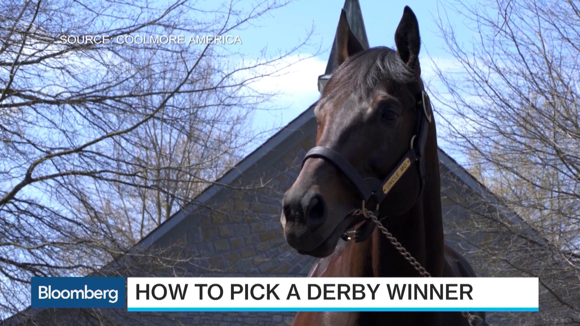 Kentucky Derby Primer How to Pick a Derby Winner