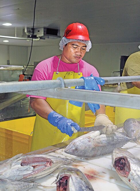 Samoa Tuna Processors’ Satala cannery.