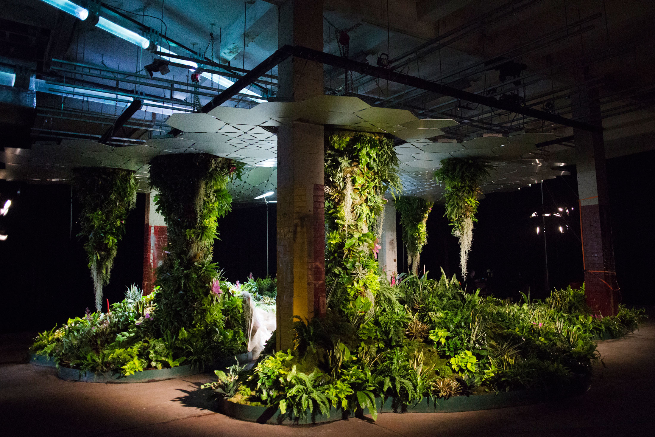 Подземный парк Lowline Lab