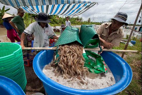 Shrimp farmers in Ca Mau province in Vietnam, use ice made from tap water that the government says isn't safe to drink without boiling it, Sept 10, 2012. Photographer: Viet Dung Tran/ Bloomberg Markets via Bloomberg.