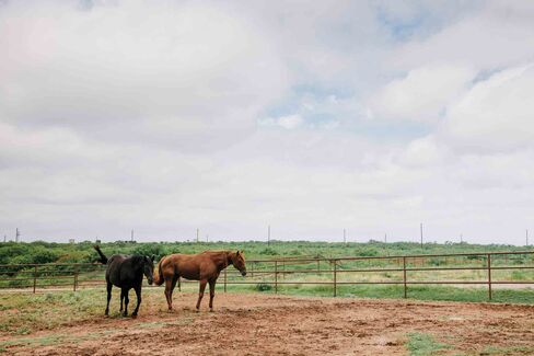 The W.T. Waggoner Estate Ranch.