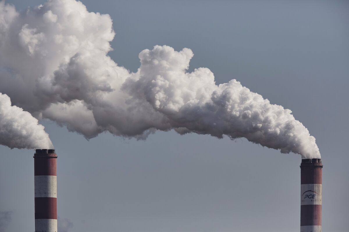 Investors Managing Trillion Call For Funding Carbon Removal