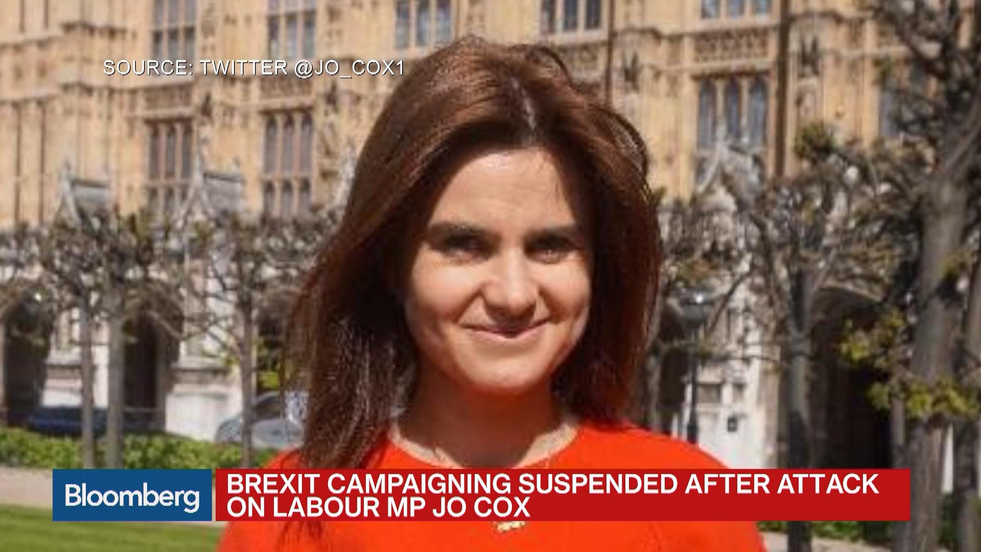 Brexit Campaigns Suspended After Labour MP Attack