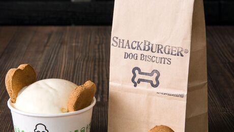 Shackburger clearance dog biscuits