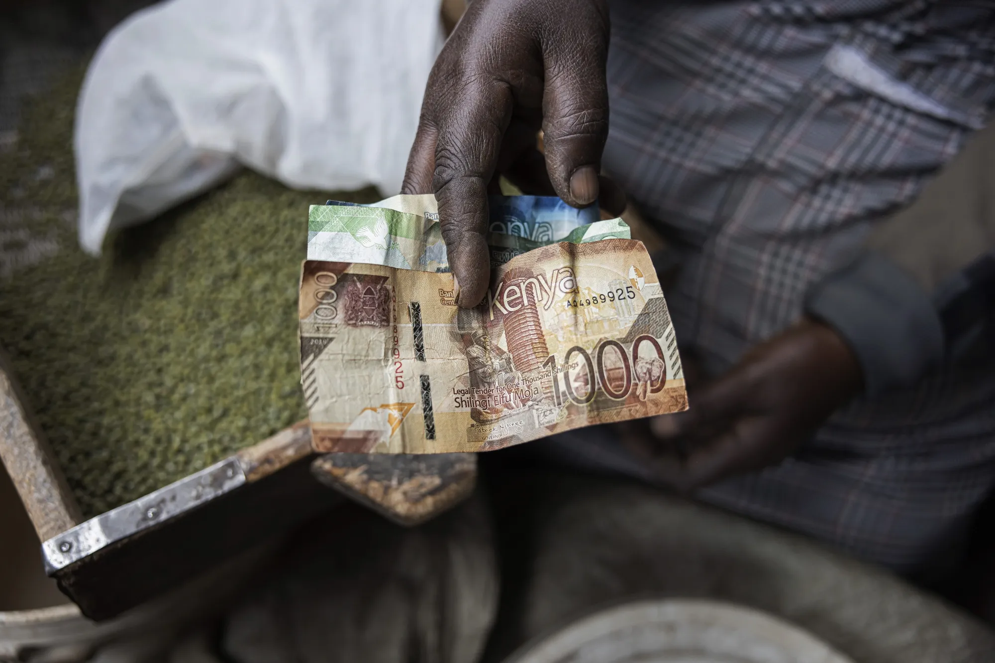 Kenya Shilling Kes Usd Hits Longest Winning Streak Since Bloomberg