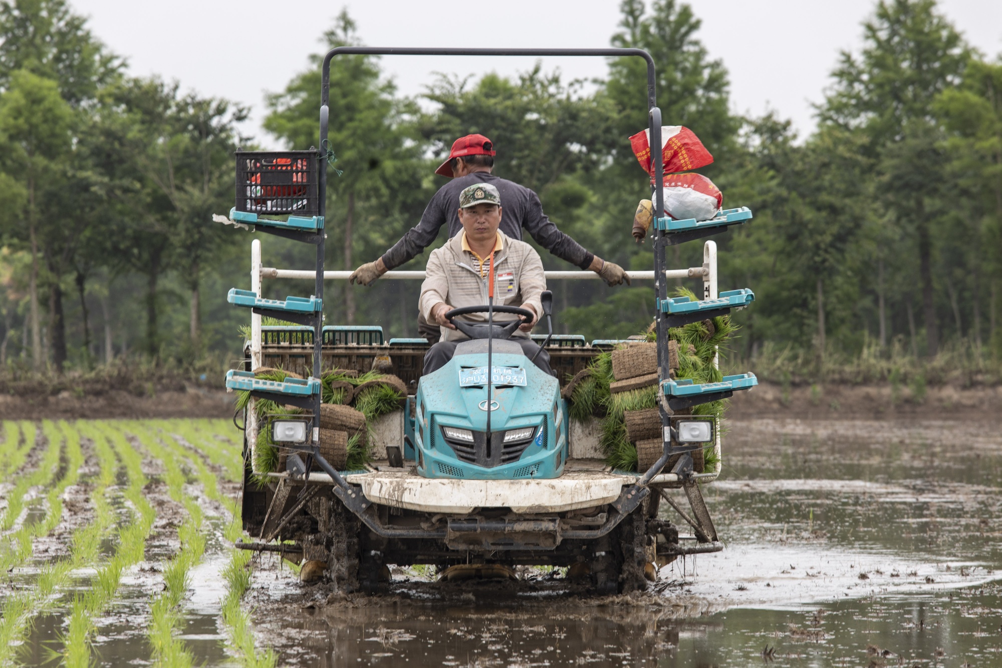 Heavy Rains Threaten Chinas Rice As Extreme Weather Grips South