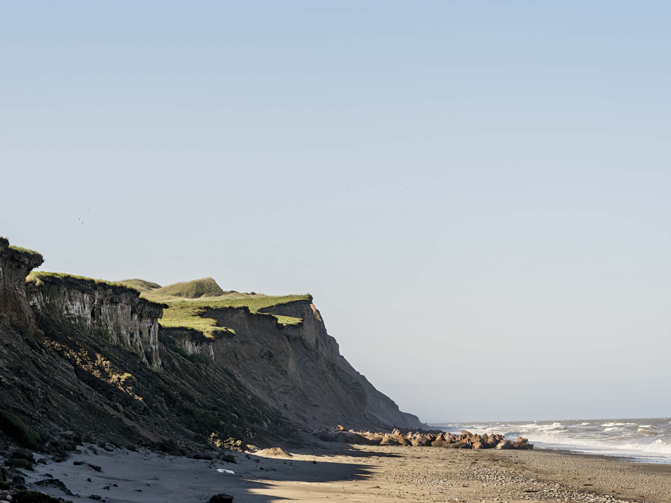 Beachcombing - Crystal Creek Lodge