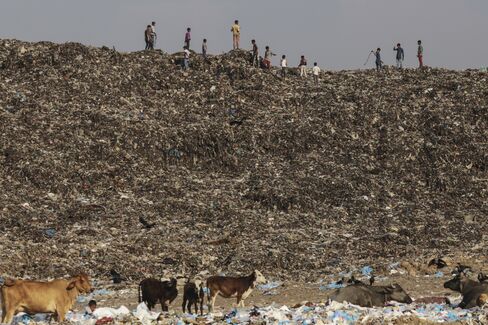 Boys play as cows graze through garbage at the Deonar landfill site in Mumbai. Photographer: Dhiraj Singh/Bloomberg