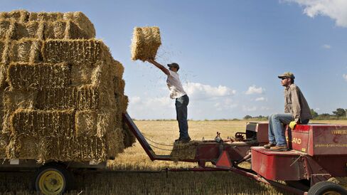 Farm hands stack bales of straw as they are collected in a field of where soft red winter wheat has been harvested.