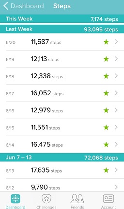 Fitbit screenshot