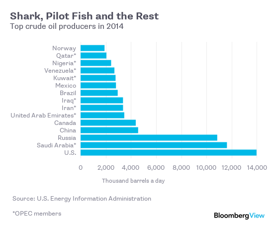 Shark, Pilot Fish and the Rest