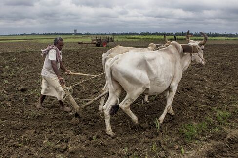 Modi Faces Dissent From Within on India Labor Laws Overhaul