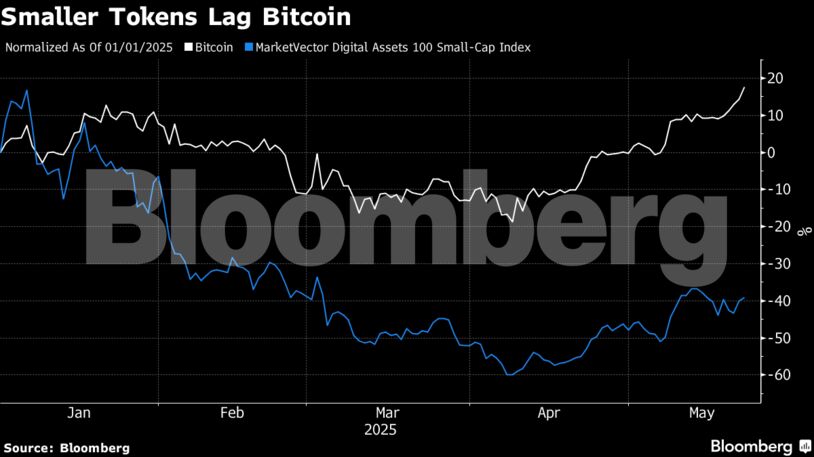 Smaller Tokens Lag Bitcoin