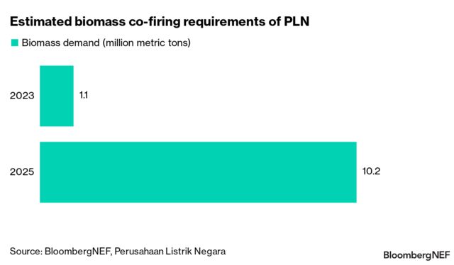 Indonesia Ramps Up Plans For Biomass-Coal Co-Firing | BloombergNEF