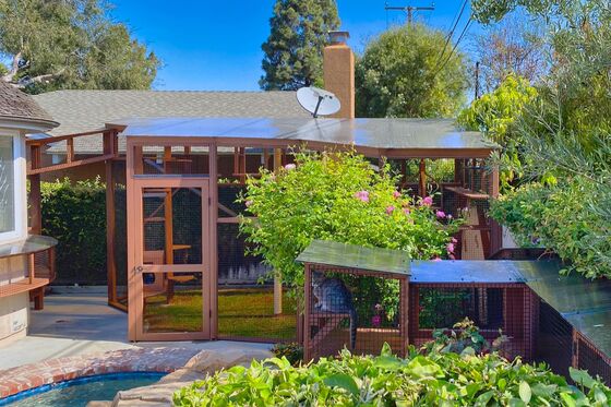 How to Unite Cat and Bird Lovers? Build a Catio