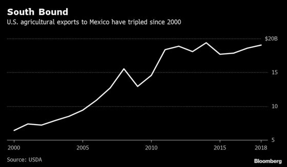Grain Markets Shrug Off Trump Tweets on Mexico
