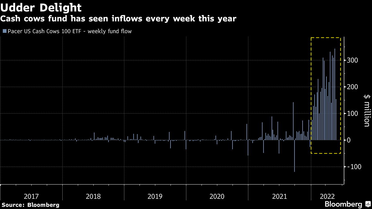 Cash cows fund has seen inflows every week this year