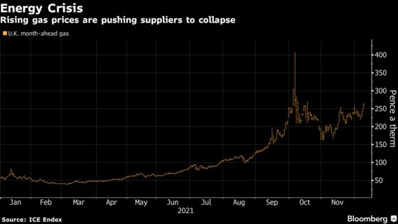 Ofgem Seen Asleep at the Wheel in Energy Supplier Crisis