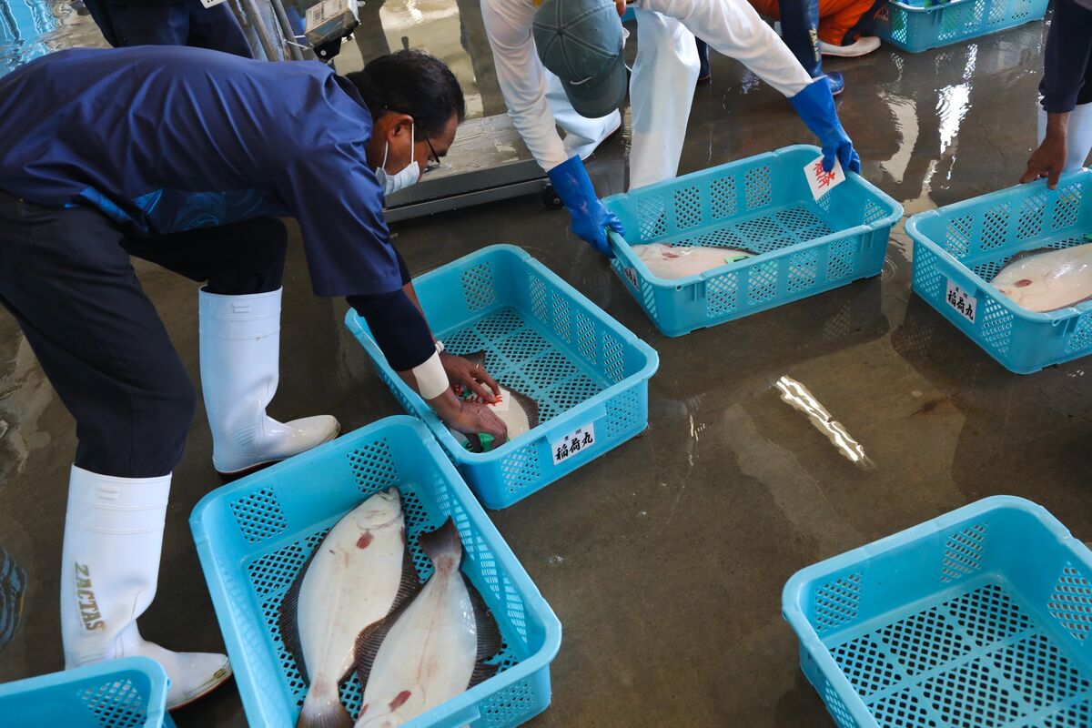 中国、水放流で日本産の魚介類の輸入を中止