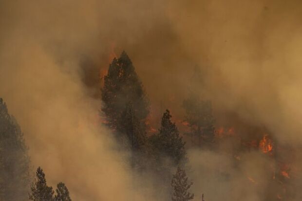 Photo: David McNew/AFP via Getty Images A momentary parting of smoke reveals a burning forest at the Oak Fire near Mariposa, Calif., on July 24, 2022.