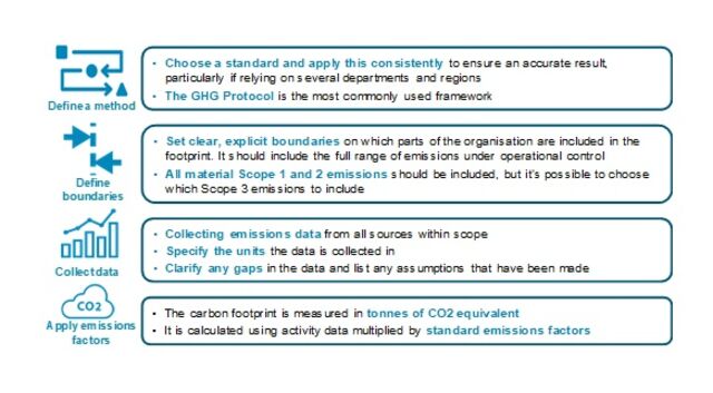 The Nuts and Bolts of Carbon Accounting | BloombergNEF