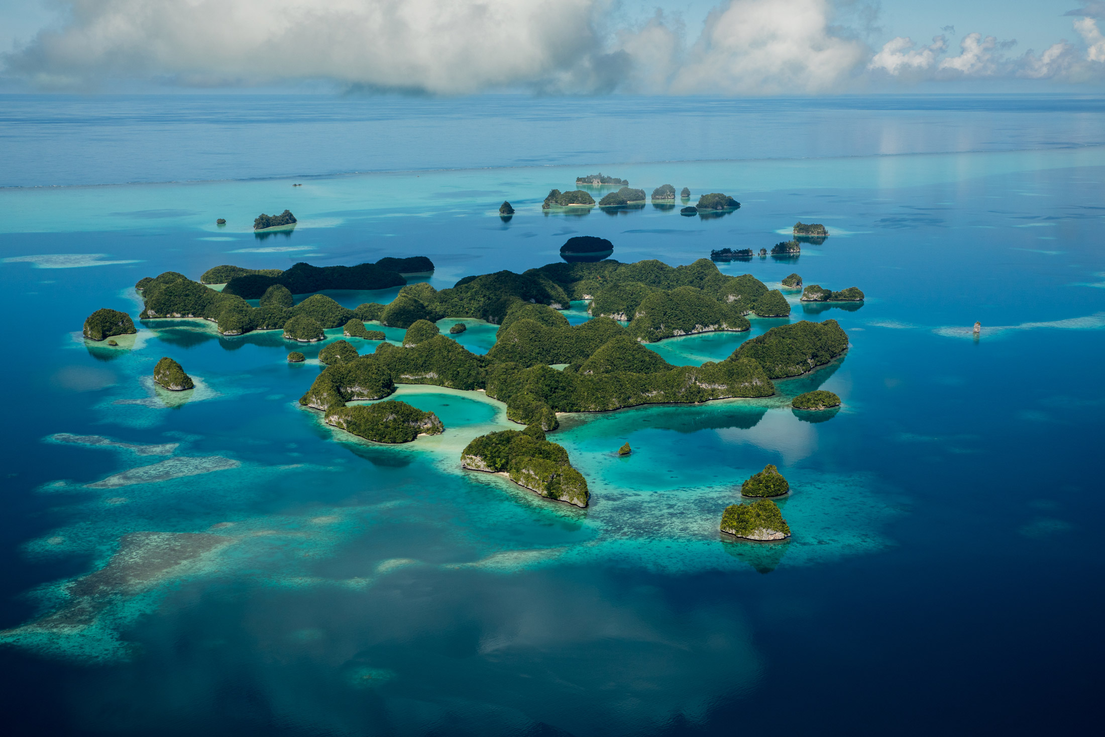 The Environmental NGO Behind Palau's Plan to Shrink Its Ocean Reserve -  Bloomberg