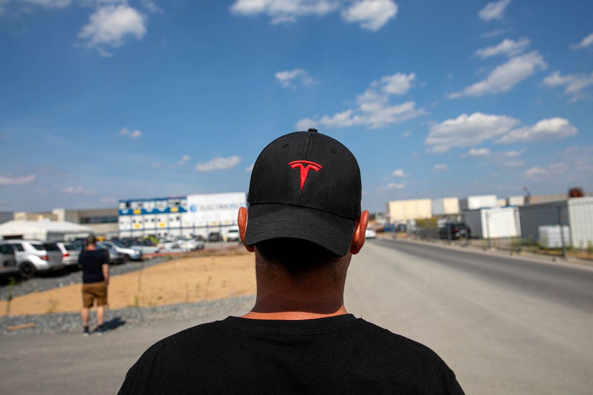 From Tesla to Turkey, a Perfect Year for Hindsight