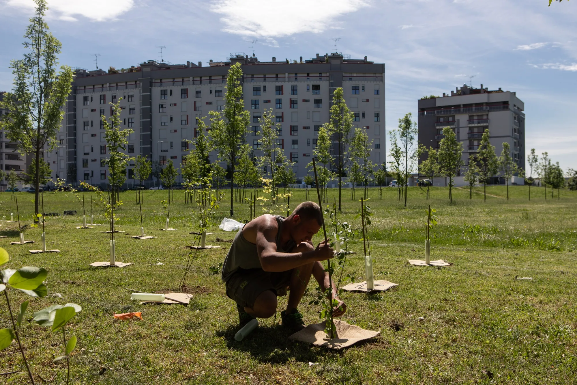 A worker plants a sapling in Milan&nbsp;as part of the "Forestami" urban forestry project, which aims to add 3 million trees to the city by 2030.&nbsp;