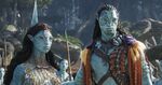 Avatar: The Way of Water&nbsp;brings the action back to the planet Pandora.