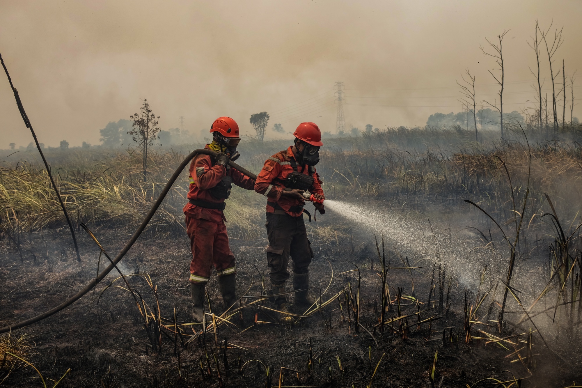 Image associated with story "Singapore’s Air Quality Unhealthy as Indonesia Fires Worsen"