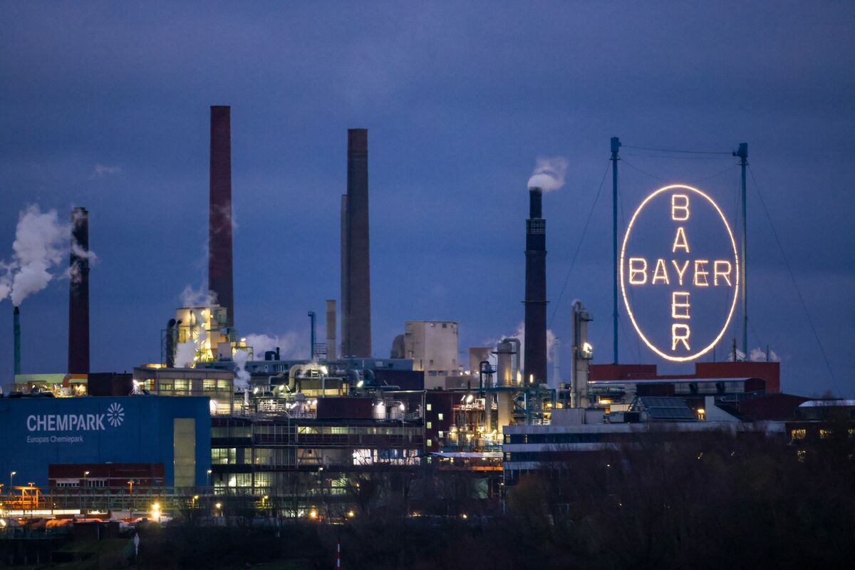 Bayer Earnings Beat Estimates on Crop Science Strength