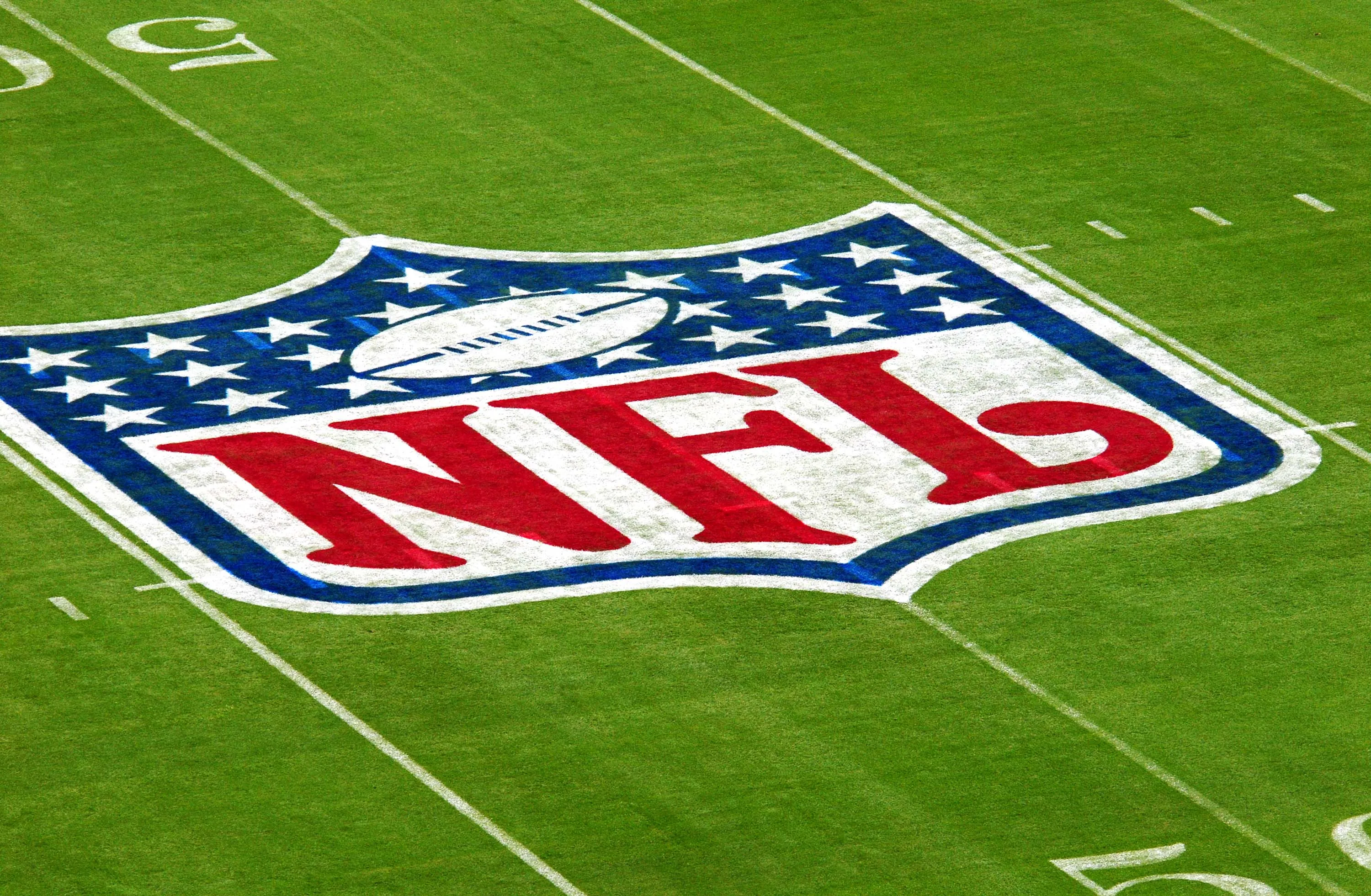 The NFL logo