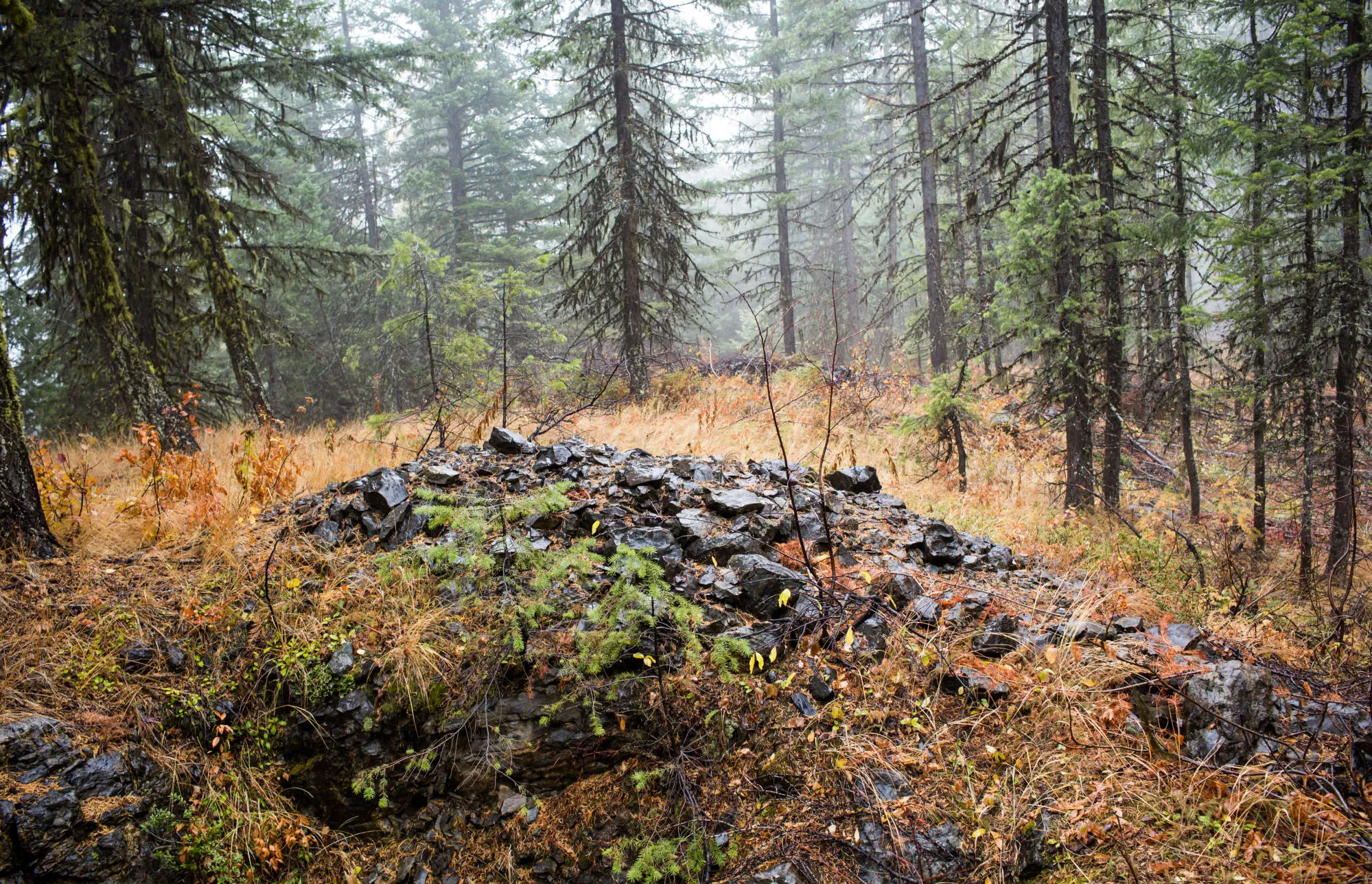 Rocks from a survey pit sit on the grounds near a West High Yield (W.H.Y.) Resources Ltd. GPS survey coordinate outside of Rossland, British Columbia, Canada