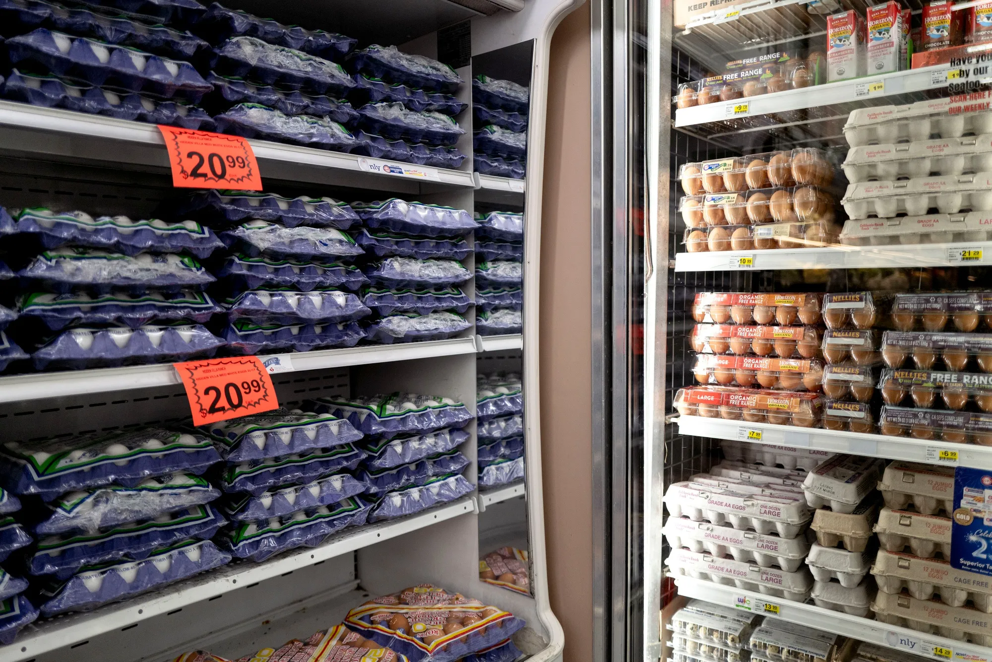 米国で卵の消費者価格が過去最高－供給不安で小売り業者が高水準維持