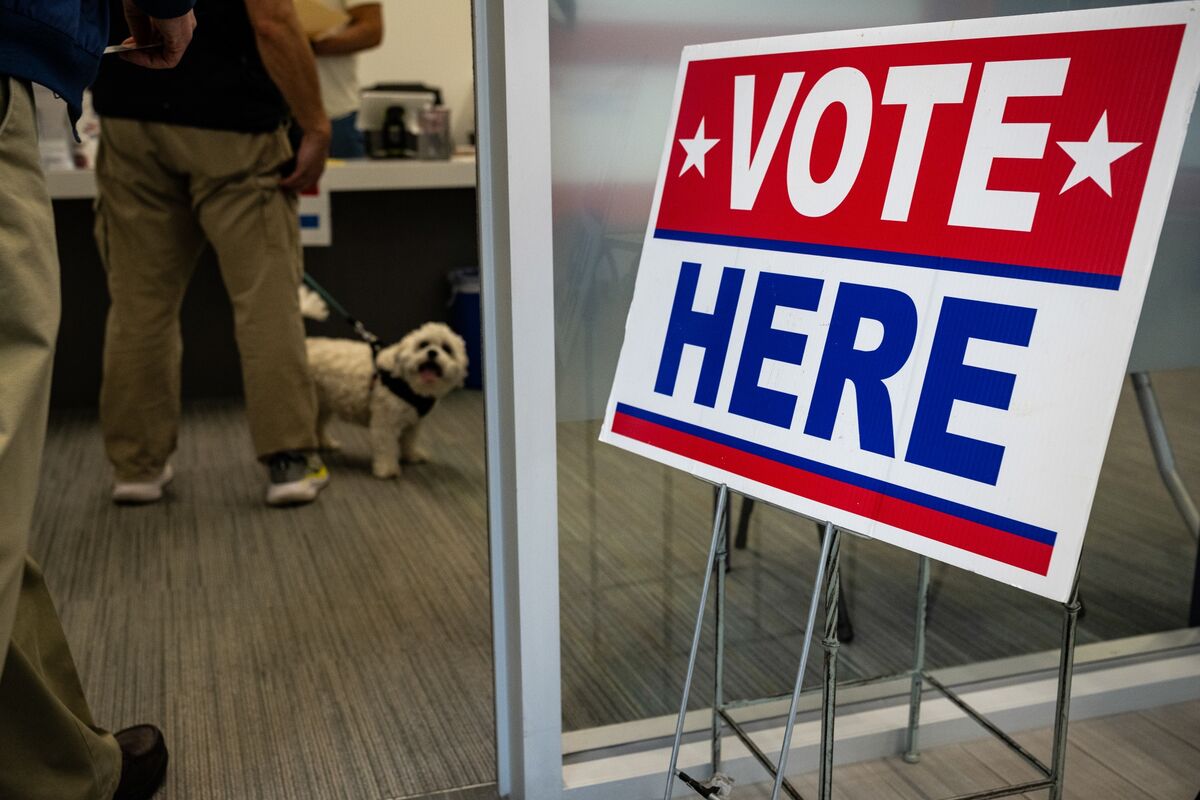 Democratic Momentum Builds as Early Voting Begins in Several States