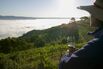 Woman drinking wine, Mountain Vineyard, Napa Valley, California