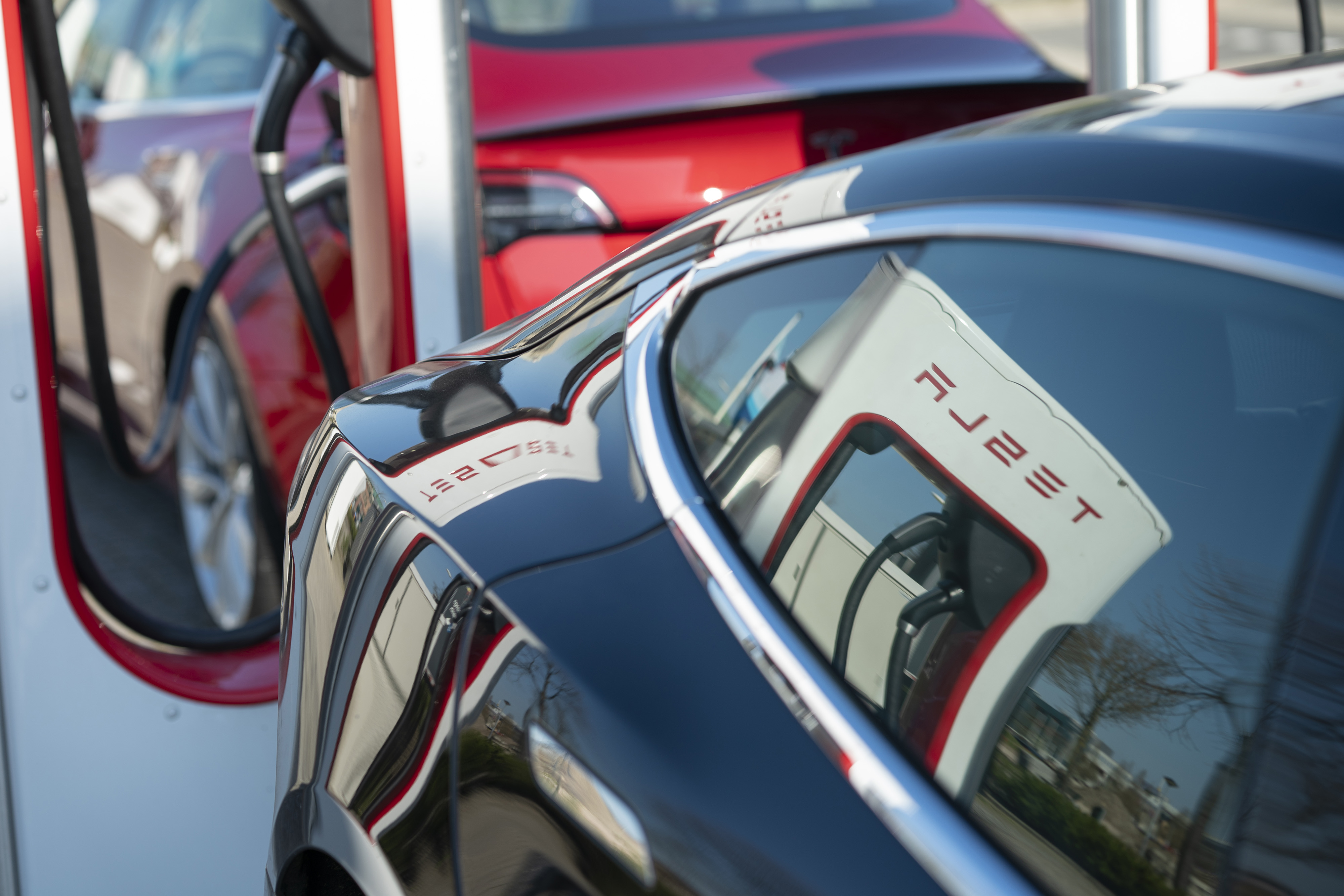 Morgan Stanley Slashes Worst-Case Price for Tesla to $10