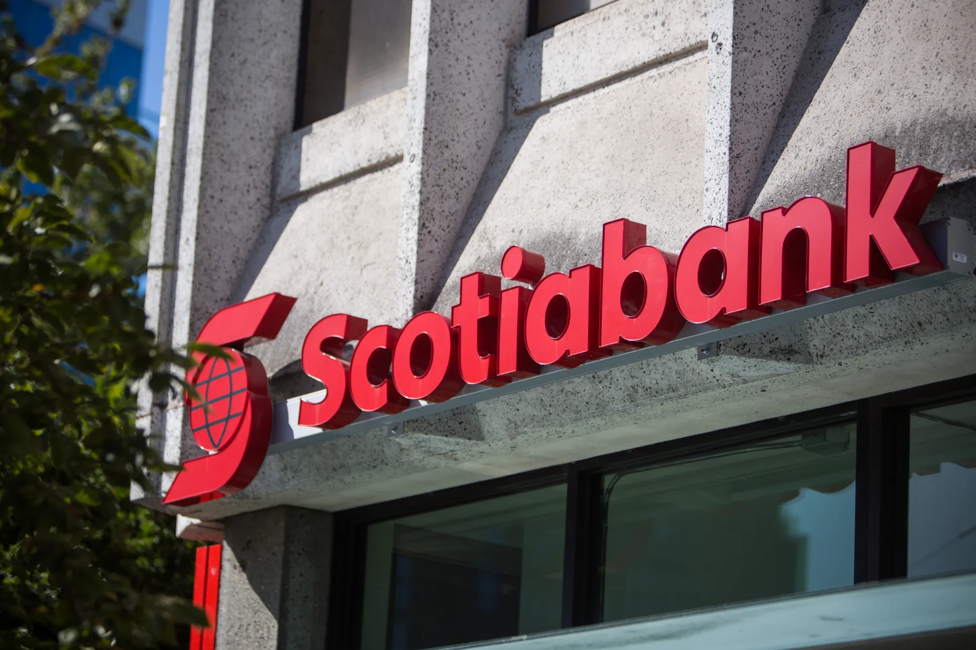 A Bank Of Nova Scotia Branch Ahead Of Earnings Figures 