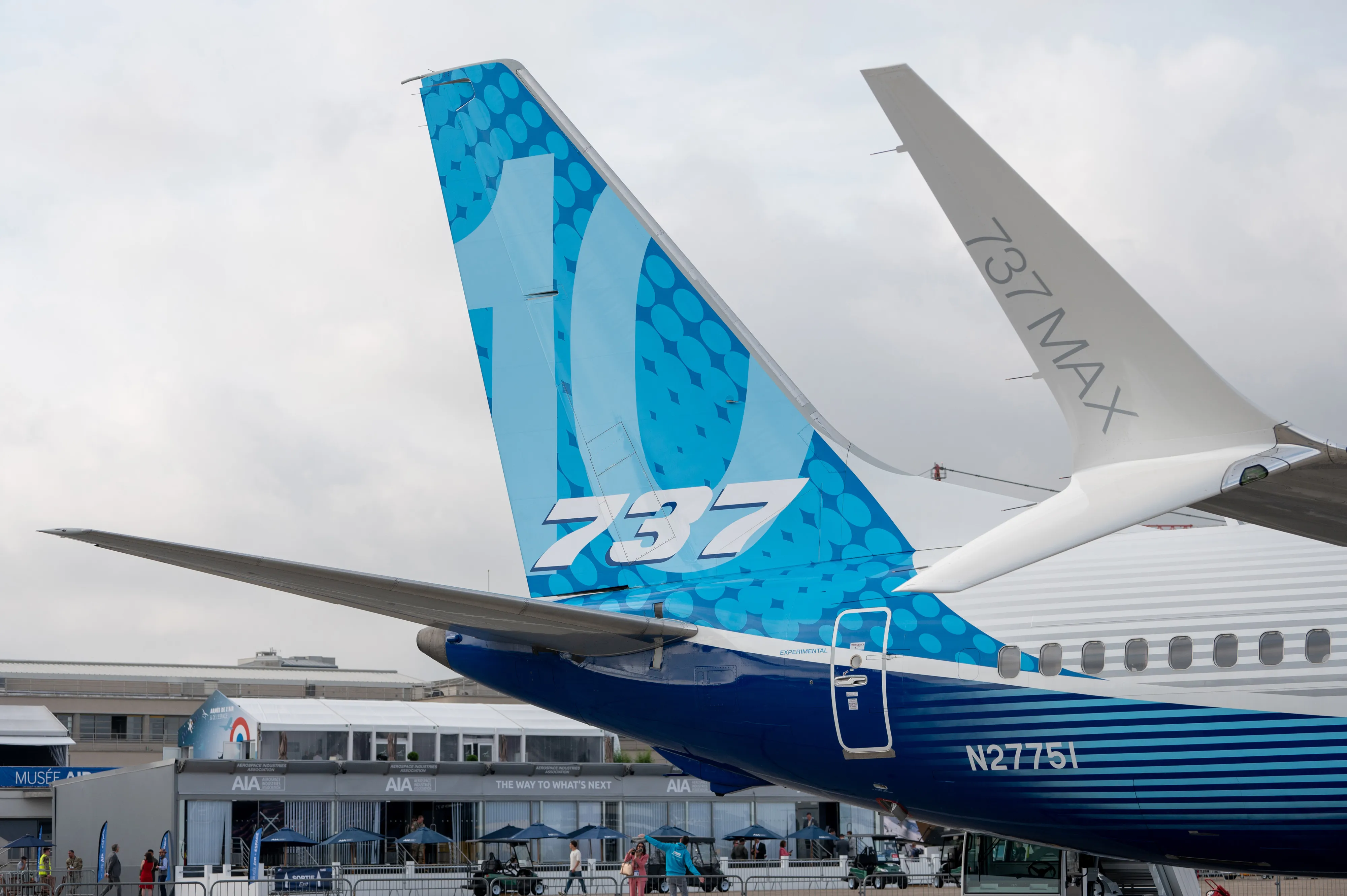 A Boeing 737 Max airliner.