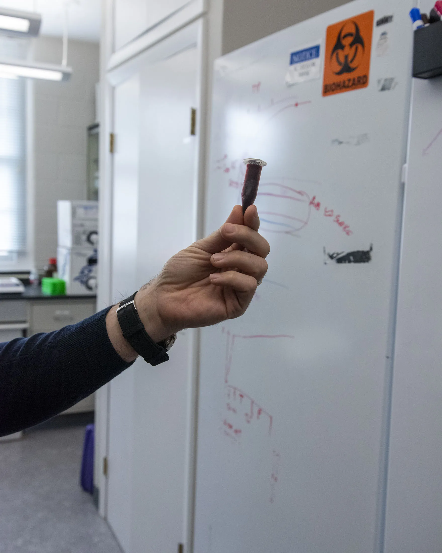 Crypto Millionaire Fuels Push to Transform Brain Research - Bloomberg