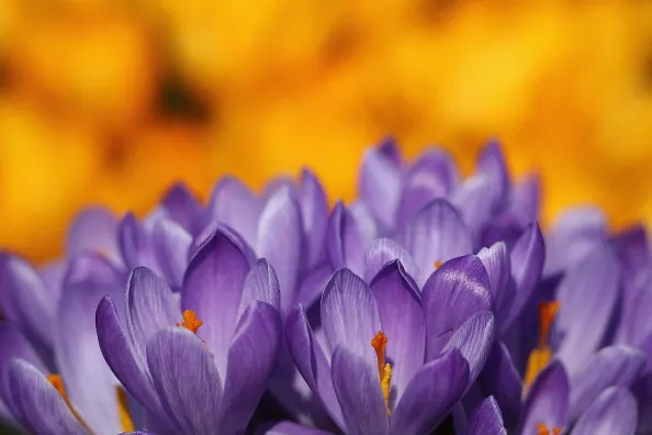 It’s spring time for Wall Street’s quant traders.&nbsp;