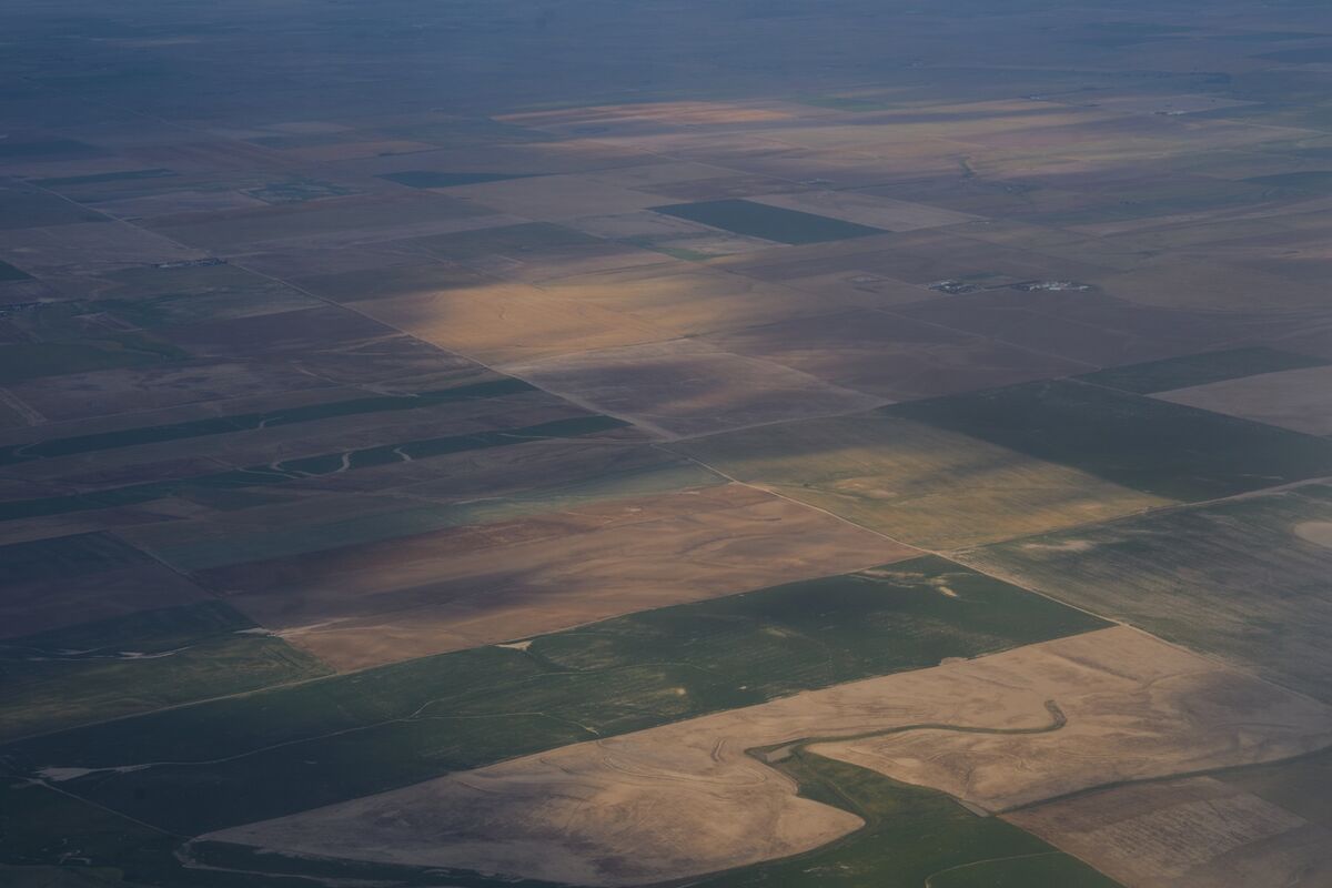 US Bans Farmland Sales to China, Russia, Iran