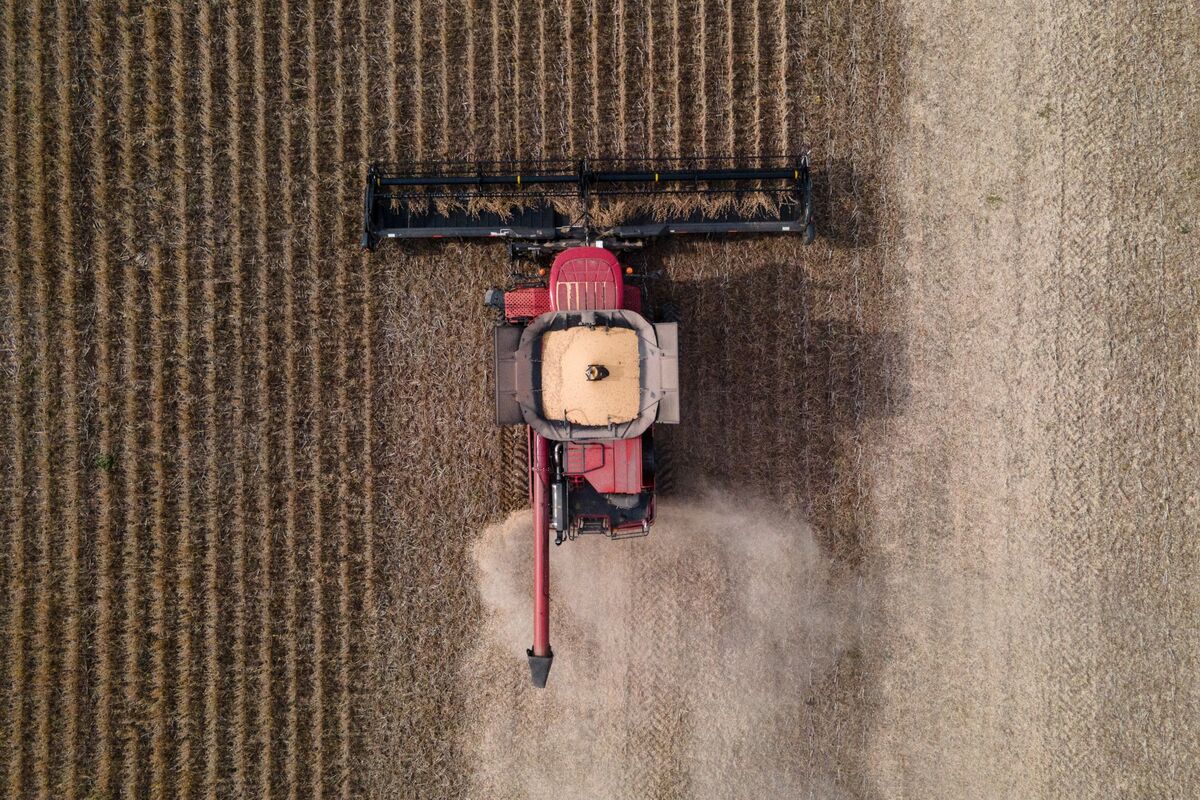 bloomberg.com - Ben Westcott - Soy Futures Drop on Delayed Trump-Xi Meeting, Oil Price Decline