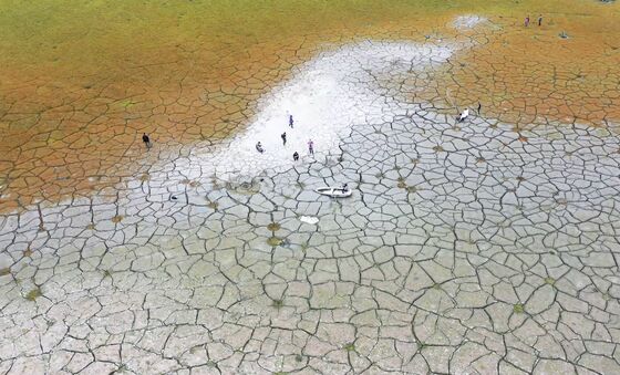 Taiwan’s Once Blistering Economy at Risk From Covid, Drought