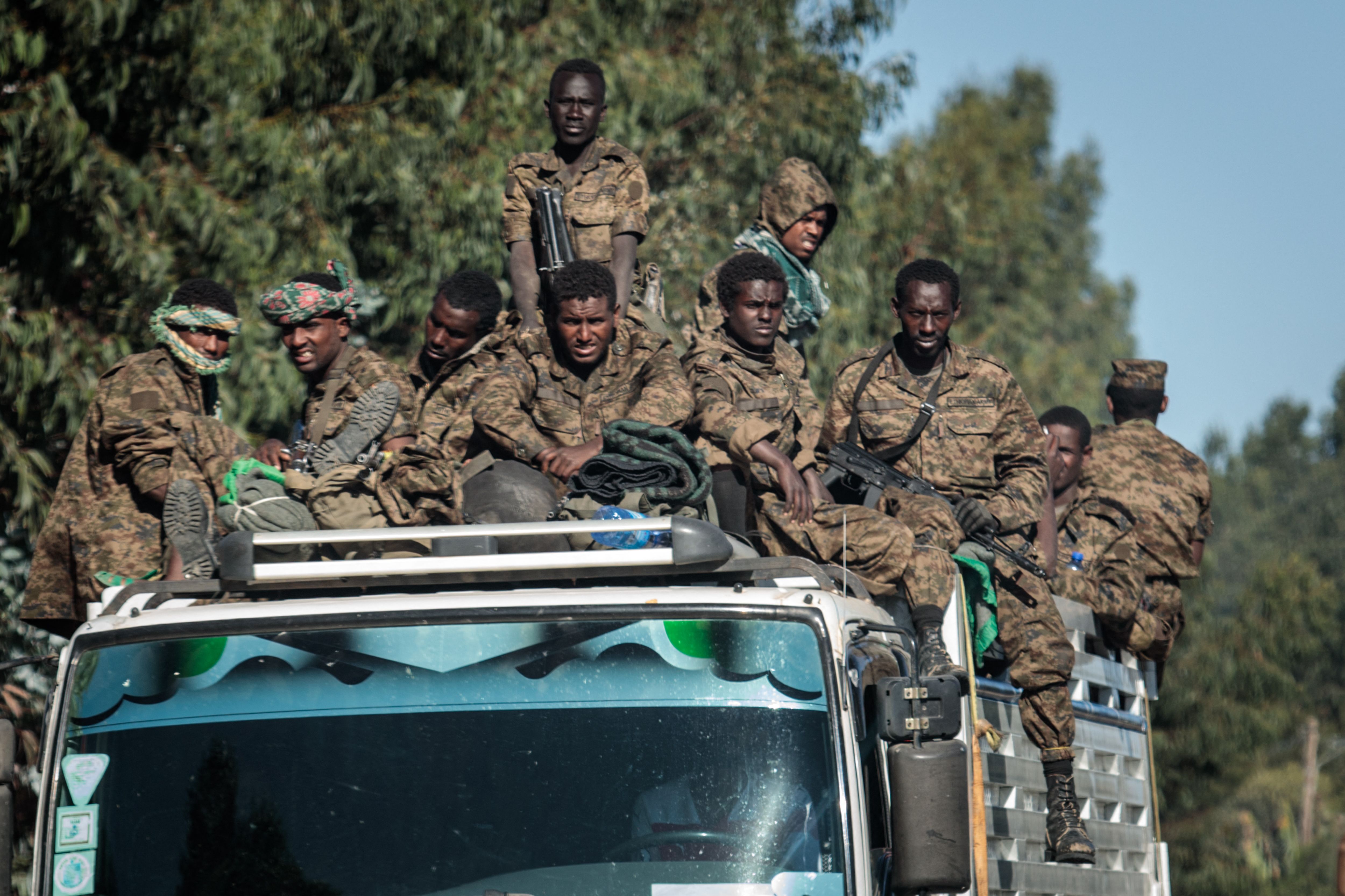Ethiopia’s War Toll Grows as the World Looks Away Bloomberg