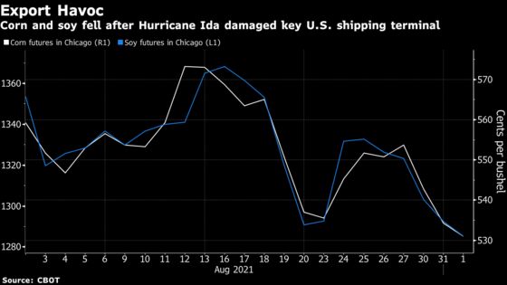 Corn, Soy Slide Further as Storm Damage Hobbles U.S. Export Flow