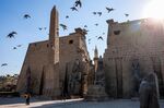 Pigeons fly past the remaining Luxor Obelisk and the Ramses II colossi outside the Luxor Temple pylons in Egypt's southern city of Luxor.