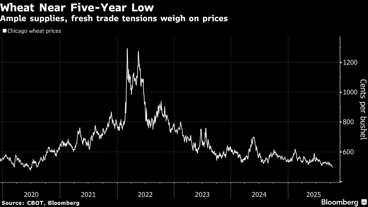 Wheat Set for Five-Year Low on Better Supply Outlook, Trade Spat